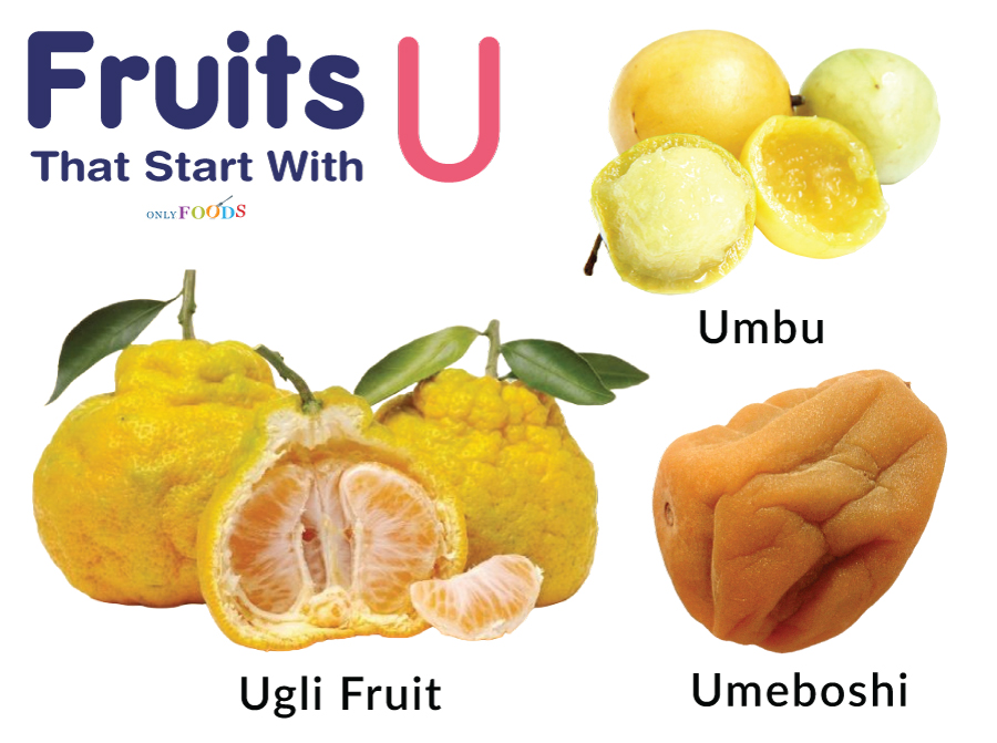 Fruits That Start With U