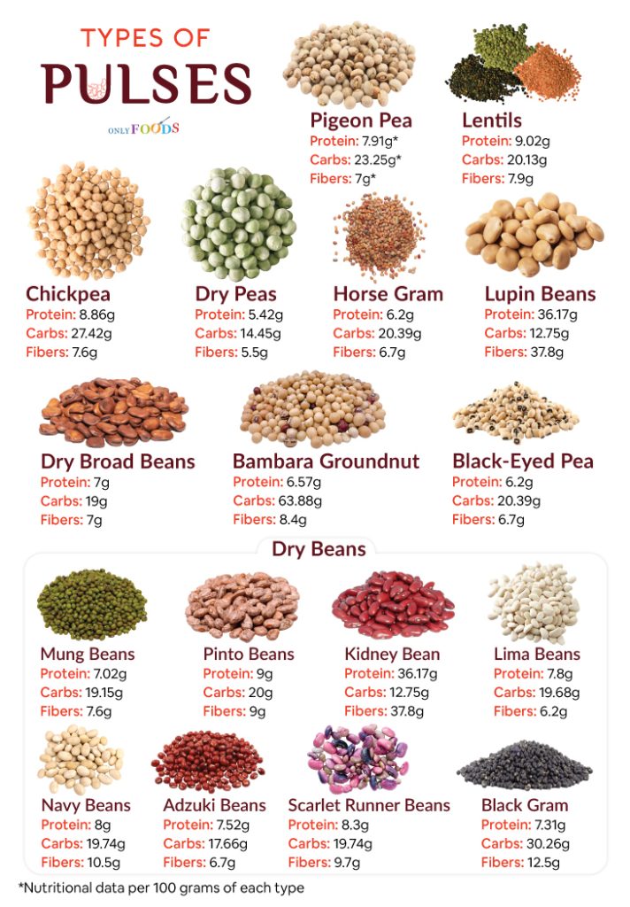 List of Different Types of Pulses With Pictures